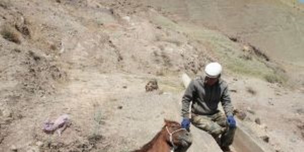 Sahipsiz at saatlerce kurtarılmayı bekledi