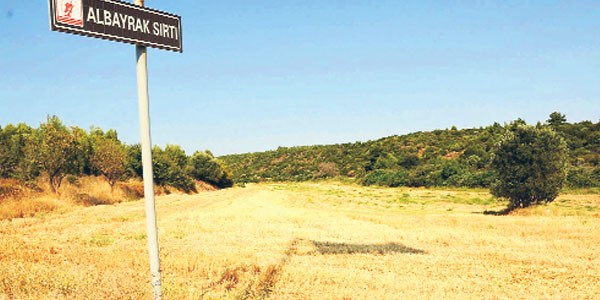Şehitlik üzerine tarla kurulmuş!
