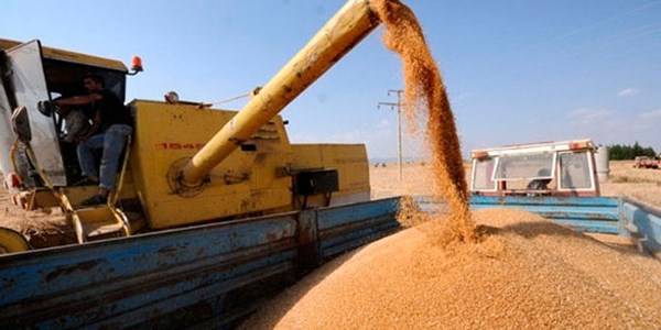 Güneydoğulu çiftçi kullandığı enerjinin % 20'sini ödeyecek