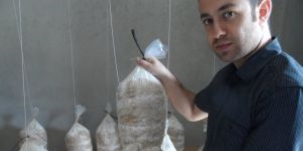 İlçe Tarım Müdürlüğünden 'İstiridye Mantarı Yetiştiriciliği' çalışması