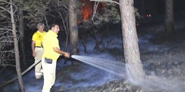 Kazdağları'ndaki yangın kontrol altına alındı