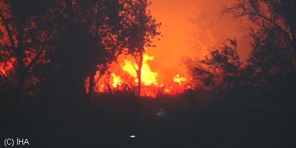 Yangn yerleim yerlerini tehdit ediyor; 10 ev tahliye edildi