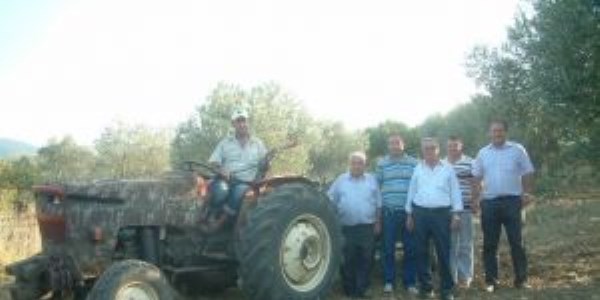 Burhaniye'de zeytin sineği ilaçlaması başladı