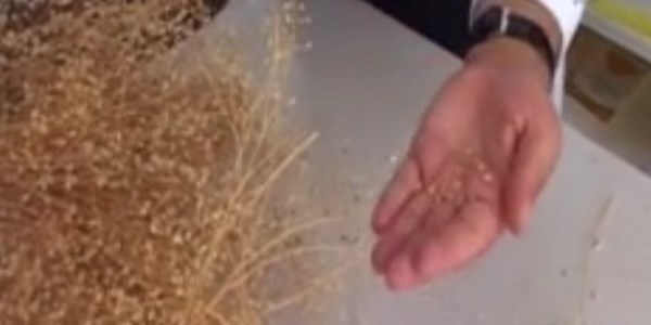 Jet yakıtı ham maddesi ilk üretimi başarılı oldu