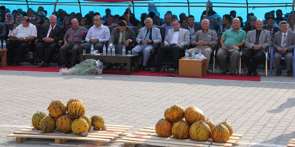 Kızılırmak'ta Kavun Festivali