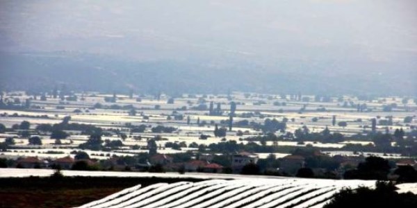 Sultaniye bağları beyaza büründü