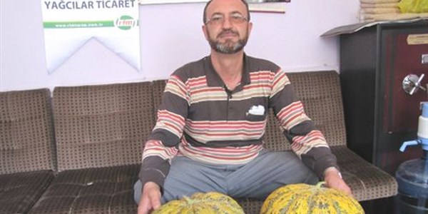 Kavun yetiştiriciliğinde tavuk gübresi farkı