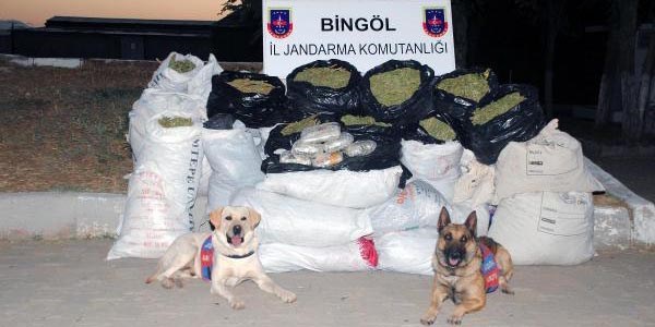 Bingöl'de 1 ton esrar ele geçirildi