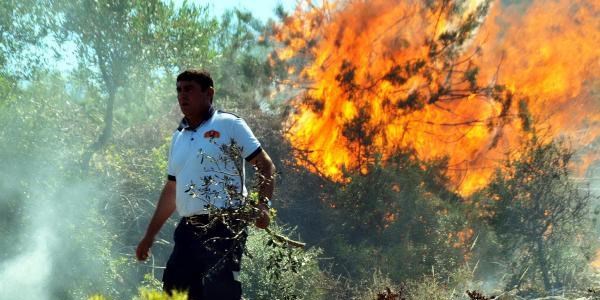 Bodrum'da aynı bölgede ikinci yangın
