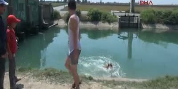 Sokak köpeğine zincirli eziyet