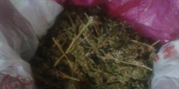 Kahta'da 1.5 kilo esrar ele ge�irildi