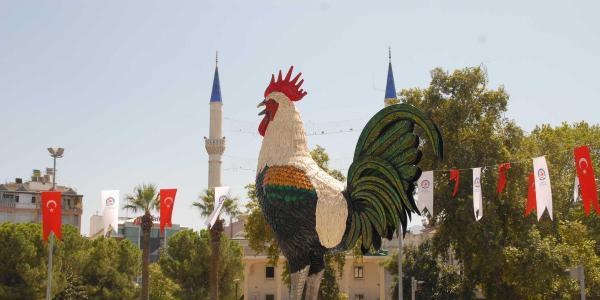 Denizli yeni horozuna kavuştu