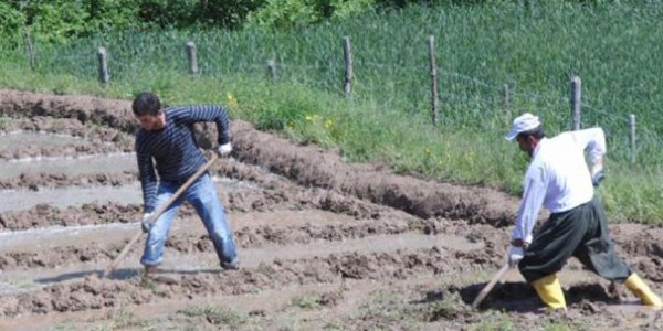 Afetzede çiftçinin kredi borcu 1 yıl ertelendi