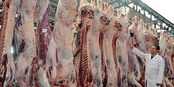 ESK kombinalar�n� kasaplara a�acak