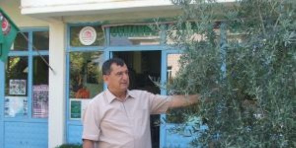 Osmaneli'de çiftçilik ve tarım
