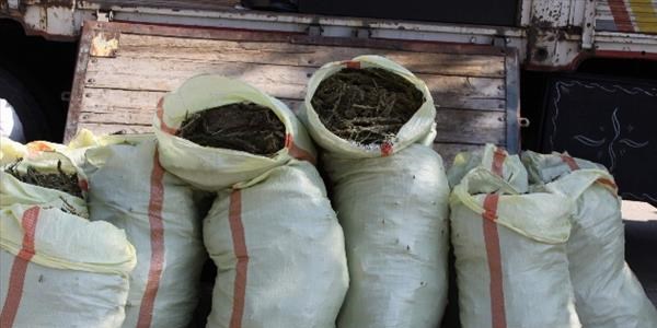 Kamyondan 310 kilo esrar çıktı