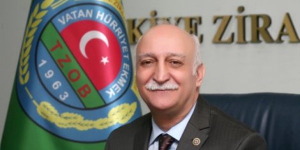 Eskiden 200, şimdi 50 çeşit üzüm yetiştiriliyor