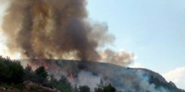 Balık pişirmek için yakılan ateş orman yaktı