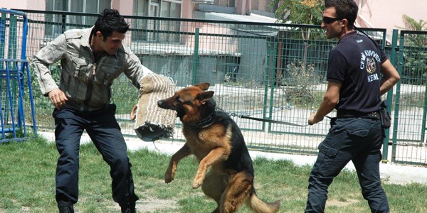 Onlar Eski�ehir polisinin g�z bebekleri