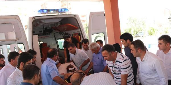 Odun yüklü kamyon devrildi: 1 ölü, 7 yaralı