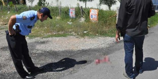 Bu görüntü polisi alarma geçirdi