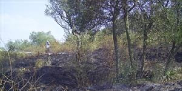 Karamrsel'deki yangnlarn nedeni aratrlyor