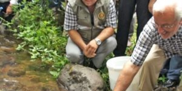 Rize'de dereye 3 bin kırmızı benekli yavru alabalık bırakıldı