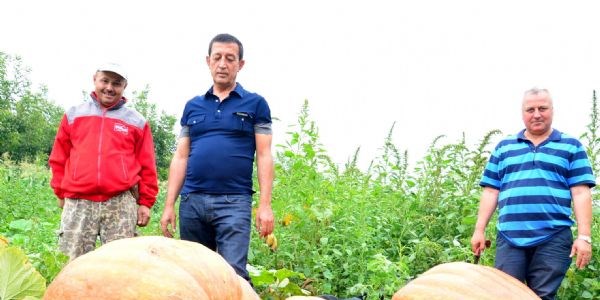 İnanılır gibi değil!