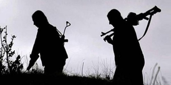 2 PKK'lı koruculara teslim oldu