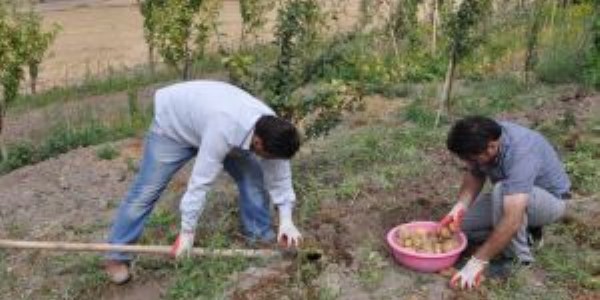 Sorgun'da vatandaşlar kendi sebze ihtiyacını kendileri üretiyor