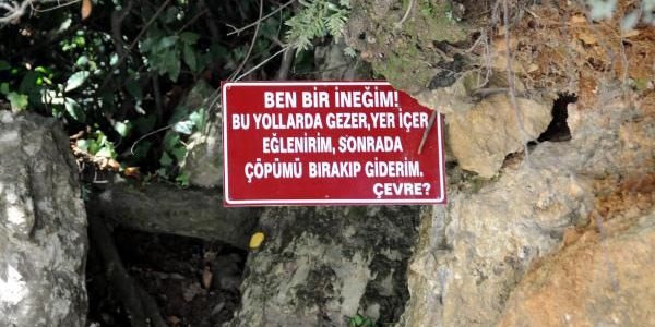 O tabelayı gören bir daha çöp atmaz!