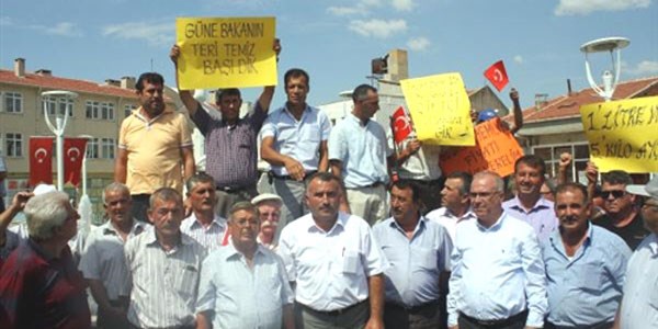 Babaeski'de ayçiçeği protestosu