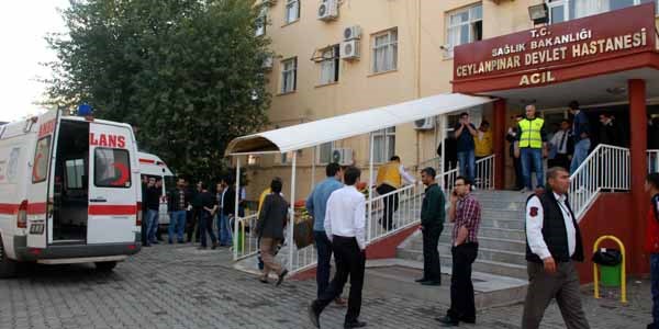 Ceylanp�nar'da s�n�r� a�an kur�unlar 2 ki�iyi yaralad�