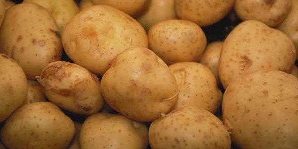 Zarar eden ifti patates ekmedi fiyatlar artt