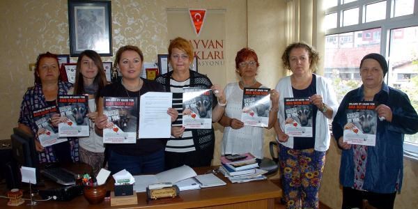 Hayvanseverler, belediye ba�kan adaylar�na protokol imzalatacak