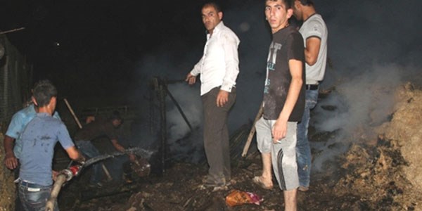 Cizre'de ikinci hayvan barınağı yangını
