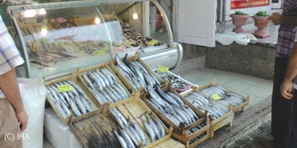 Tezgahlarda palamut 5 TL