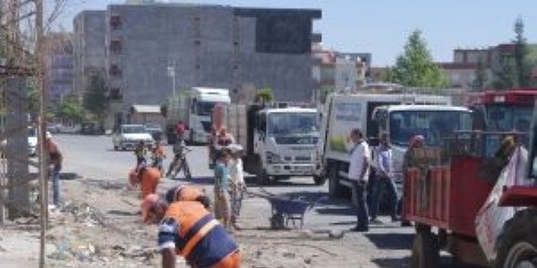 Viran�ehir'de m�nt�ka temizli�i