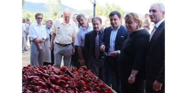 Çanakkale Yenice'de gıda ve hayvancılık fuarı yapıldı