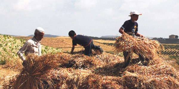 Türkiye'de 893 bin çocuk işçi çalışıyor