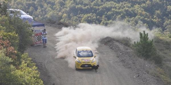 K�pek, ralli otomobilinin �n�ne atlad�