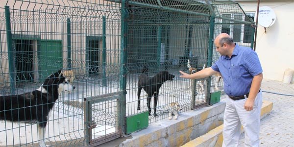 Evlerde bak�lan k�peklerin belediyeye kaydettirilmesi gerekiyor