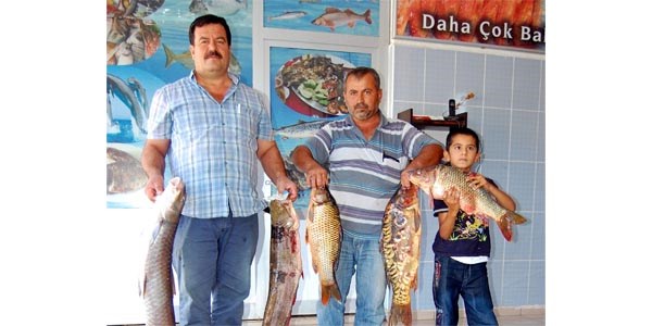 Atat�rk Baraj�'ndan bat� illerine bal�k sevkiyat�