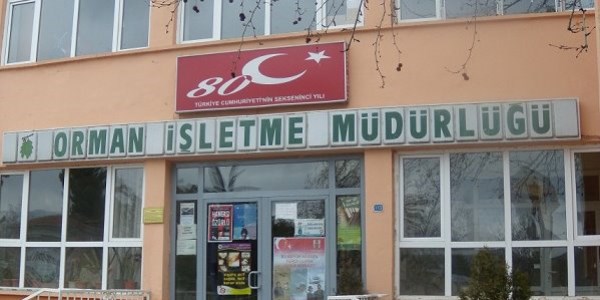 Keban'da 300 hektarl�k alanda a�a�land�rma yap�lacak