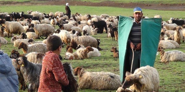 Göçerler geri dönüş yolunda