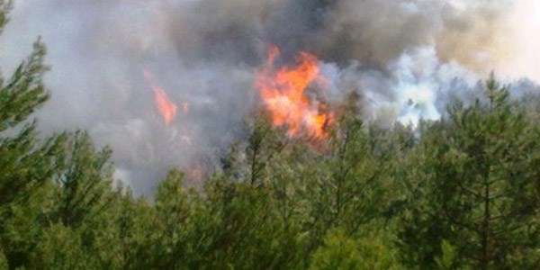 Meteorolojiden orman yangını riski uyarısı