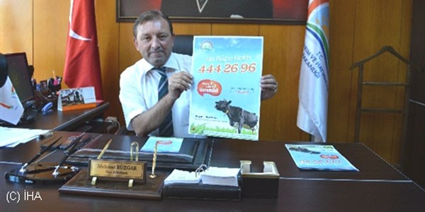 Alanya'da alo küpe hattı