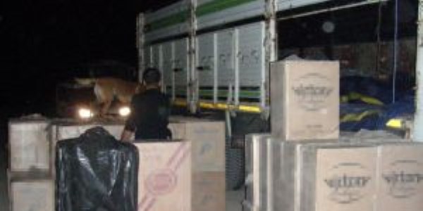Bolu'da 54 bin 485 paket kaçak sigara ele geçirildi