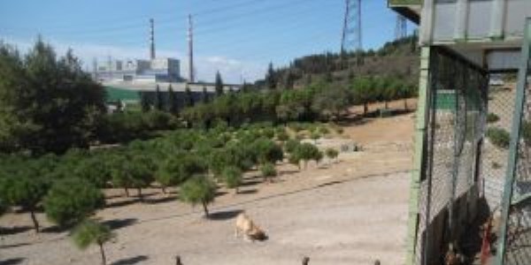 İÇDAŞ, kene ile 'Doğal Yoldan' mücadele edecek