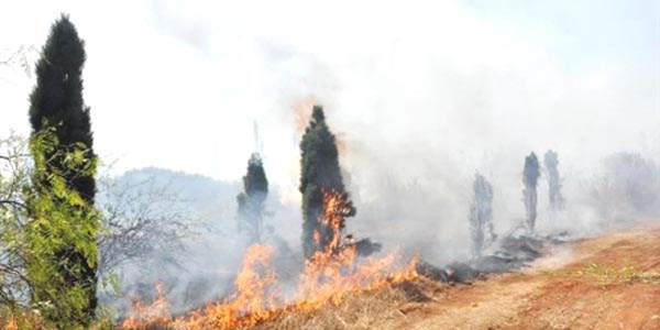 �niversite orman�nda ikinci yang�n